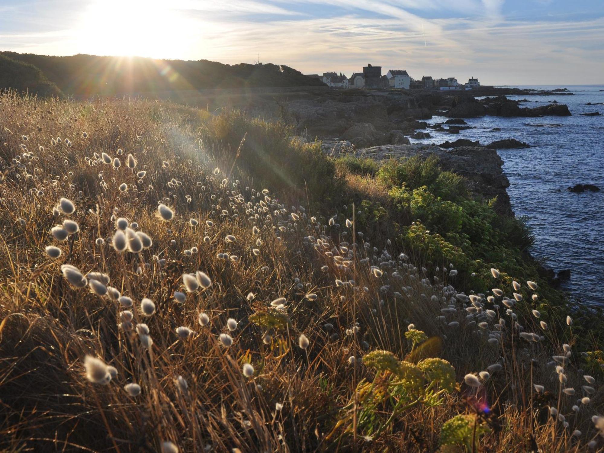 Appartements En Bord De Mer Avec Wifi Et Animal Accepte A Piriac-Sur-Mer - Fr-1-306-943 외부 사진